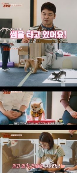 (사진 제공 = JTBC ‘집 나가면 개호강’)
