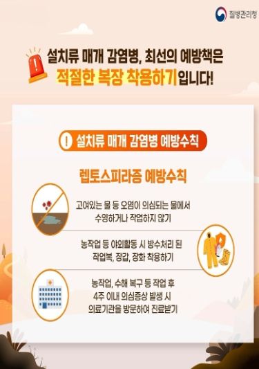 고양시 일산서구보건소, “폭우 뒤‘렙토스피라증’주의하세요”