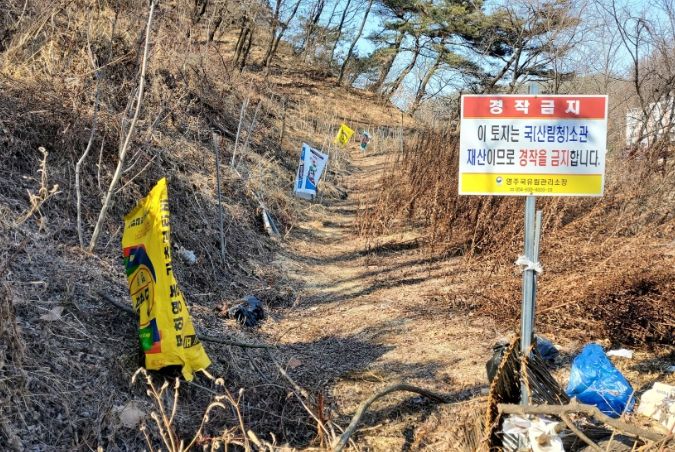 무단 점유지 실태조사