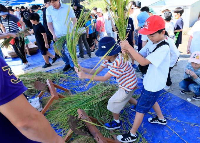 10일 화성특례시 팔탄면 구장리 벼 재배단지에서 어린이들이 벼 낱알 털기 체험을 하고 있다