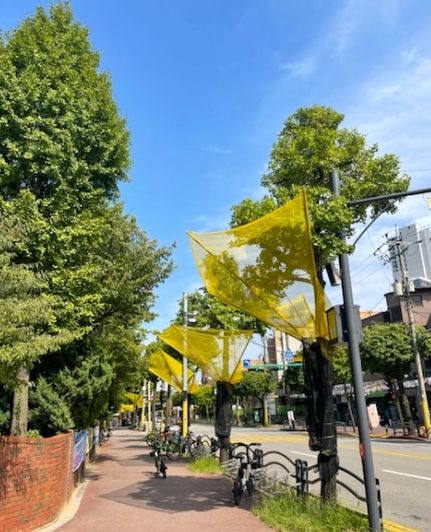 광명시 철산1동 주민자치회는 지난 15일 주민세마을사업으로 은행나무 열매 수집망을 설치했다.