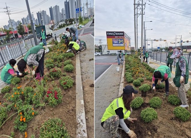 비전1동, 가을꽃 국화꽃 심어 아름다운 경관 조성