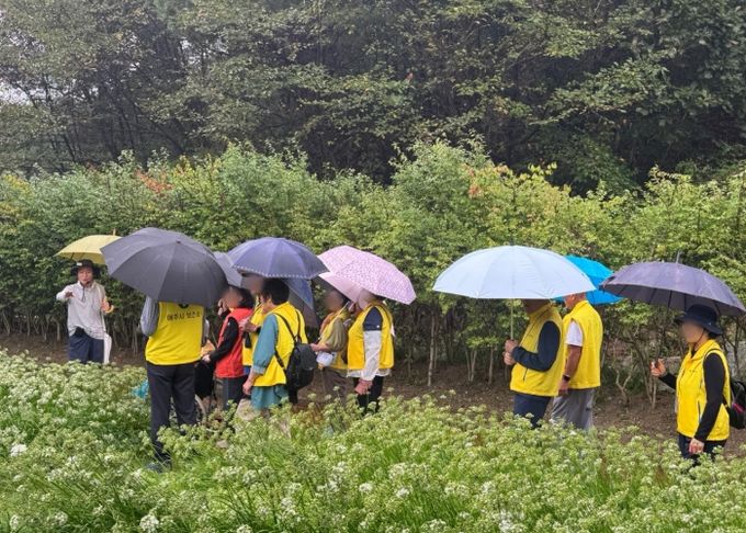 치매환자와 가족이 함께한 산림치유 프로그램 진행