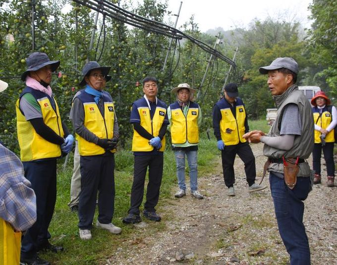 과수원 사장에게 농작업 설명을 듣고 있는 직원 모습