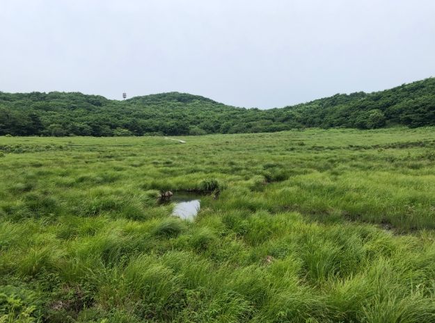 (북부지방산림청) 강원 인제 대암산 용늪 산림유전자원보호구역