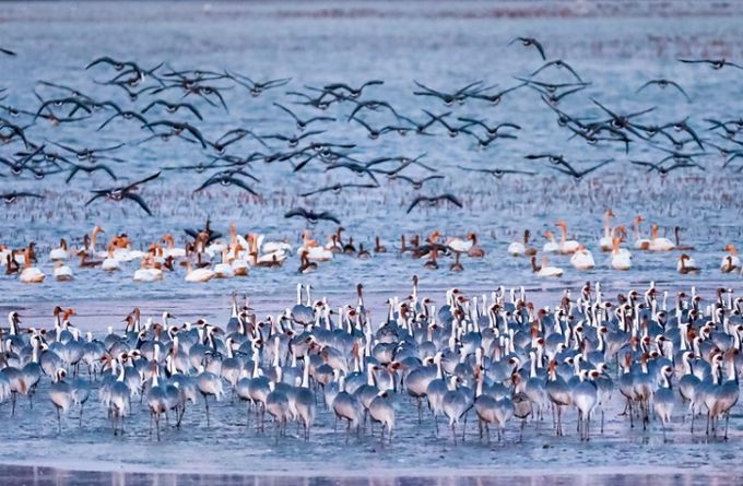 경남 창원(주남저수지)