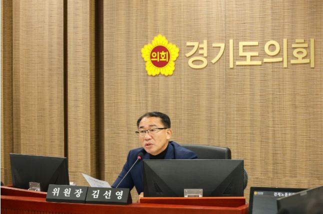 김선영 부위원장(더불어민주당, 비례)