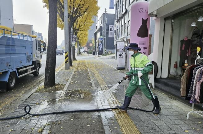 수원시 권선구, 가을철 은행나무 악취 해결에 나섰다!