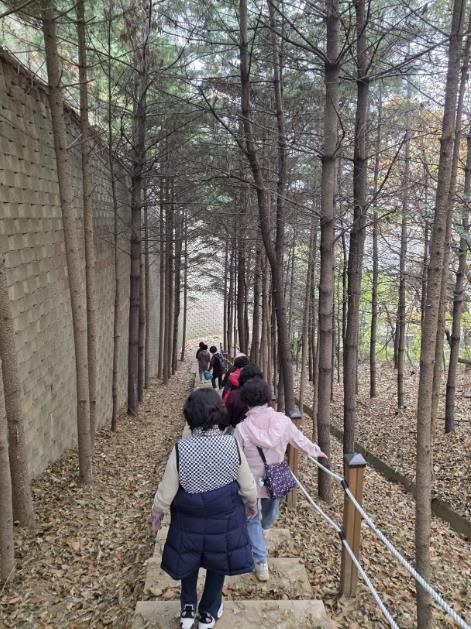 용인특례시 보건소 건강걷기 프로그램에 참여 중인 시민들