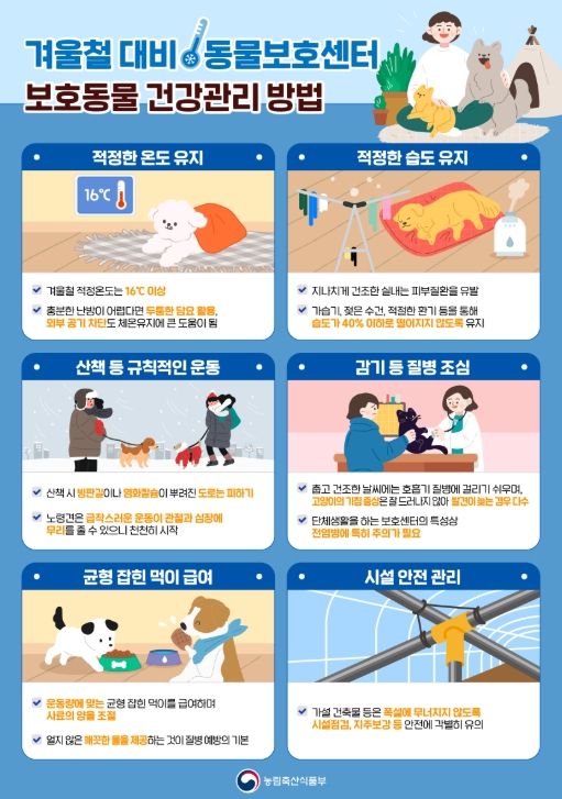 '겨울철 대비 동물보호센터 보호동물 건강관리 방법' 안내문