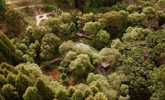 무장애 나눔길(물향기수목원)