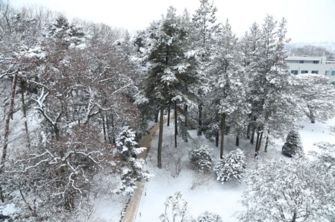 홍릉수목원 설경