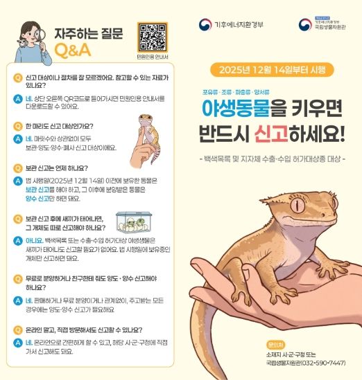 야생돌물 신고제 안내문