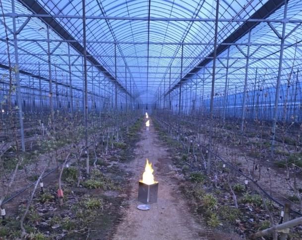 파주시, 원예특작분야 기술보급사업 대상자 모집