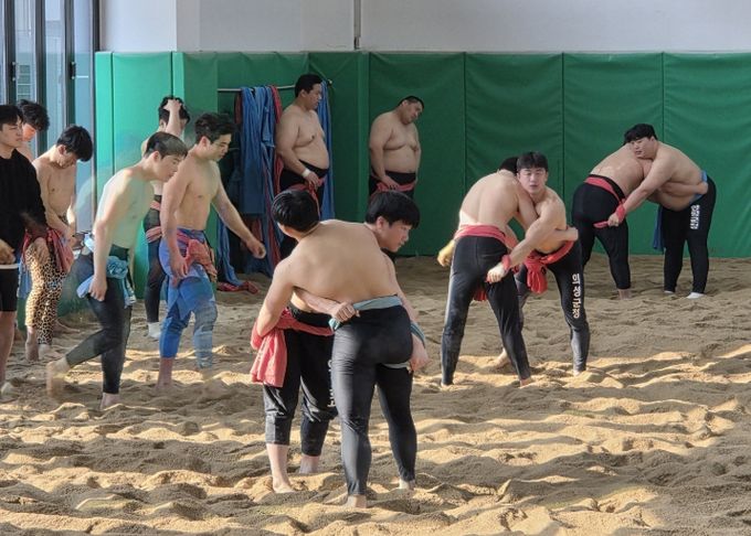 국내 씨름단 동계 전지훈련