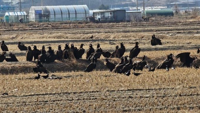 ‘파주 독수리 식당’ 생태여행 성황리 종료