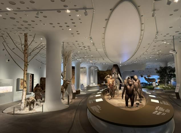 경기문화재단 전곡선사박물관, 상설전시실 전면 개편…42cm '초대형 주먹찌르개' 최초 공개