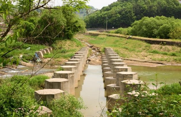 파주시 금촌3동, '잠든 용치(龍齒)와 평화의 바람' 사진전 개최