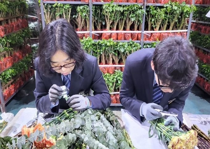 수입 화훼류 현장검역